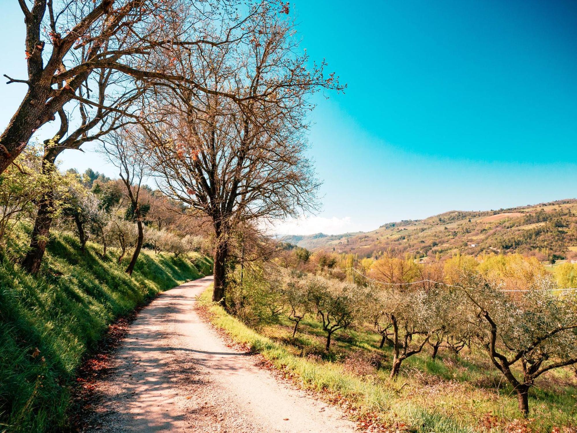 Ostello Bello Assisi Bevagna Eksteriør bilde